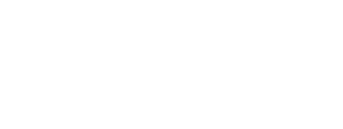 Logo viola 2